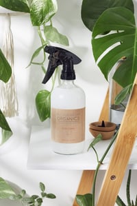 Image 1 of Natural Glass Cleaner