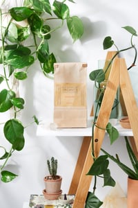 Image 1 of All Natural Dishwasher Soap