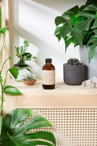 Image 2 of Natural Aged After Shave / Cologne Organic Bay