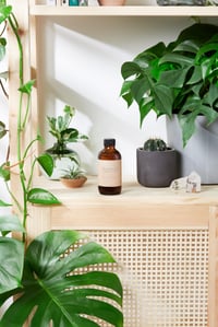 Image 3 of Natural Aged After Shave / Cologne Organic Bay