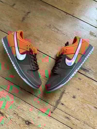 Nike Sb dunk 44,5 ( us10,5) 