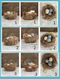 Image 4 of Handmade feathered nest and spun cotton speckled eggs