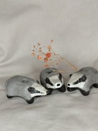 Image 1 of Pieni savimaljakko, Mäyrä