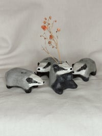 Image 2 of Pieni savimaljakko, Mäyrä