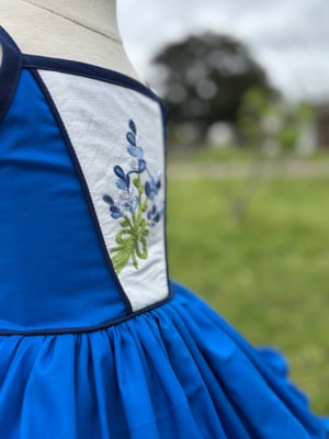 Image of Bluebonnet Baby Dress 