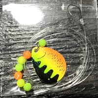 Image 2 of Atomic Tiger Premium Hand Tied Walleye Crawler Harnesses