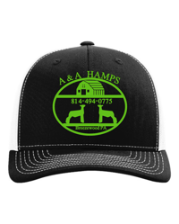 Image 2 of Richardson 112 A & A HAMPS 