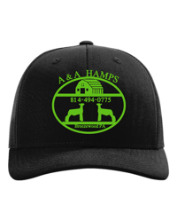 Image 3 of Richardson 112 A & A HAMPS 