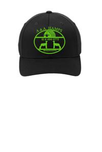 Image 1 of FlexFit Hat A & A HAMPS 