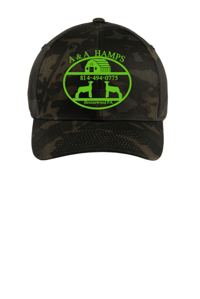 Image 2 of FlexFit Hat A & A HAMPS 