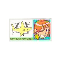 Small 02 - ZAP