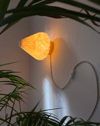 Image 3 of Orange Drop — table and wall lamp