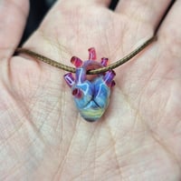 Image 2 of ANATOMICAL HEART 3