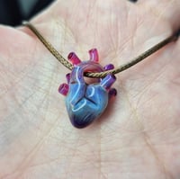 Image 3 of ANATOMICAL HEART 4
