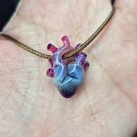 Image 4 of ANATOMICAL HEART 4