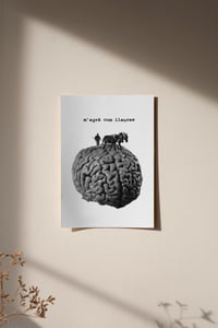 Image 5 of Làmines/1