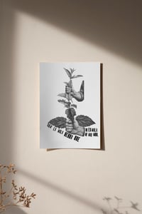 Image 4 of Làmines/2