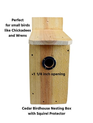 Image of Small Bird Chickadee Wren Cedar Nesting Box