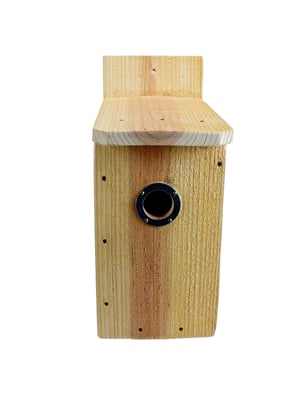 Image of Small Bird Chickadee Wren Cedar Nesting Box