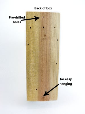 Image of Small Bird Chickadee Wren Cedar Nesting Box