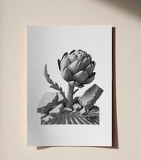 Image 1 of Làmines/1