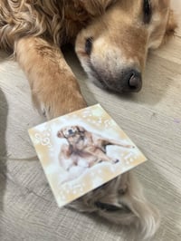 Image 2 of Silly Dog Sticker