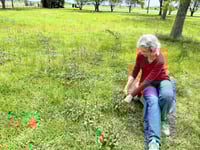 Image 5 of Self-Heal Herbal Salve, 2 oz Glass Jar, Organic Ingredients, Self-Heal Infused Herbal Balm