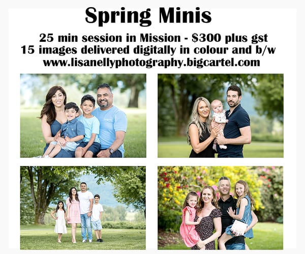 Image of Spring Minis Deposit Saturday May 16