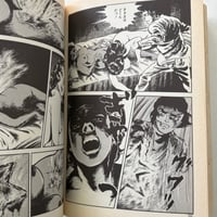 Image 9 of STAR OF DAVID #2 by Masaaki Sato!