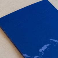 a noite da orquídea