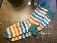 The Great Pumpkin Patch Socks