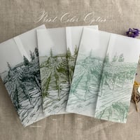 Image 4 of Rustic vineyard sketch printed vellum wrap for 5x7 cards PACK of 10