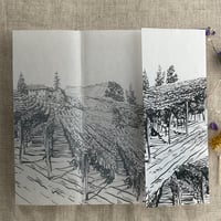 Image 21 of Rustic vineyard sketch printed vellum wrap for 5x7 cards PACK of 10