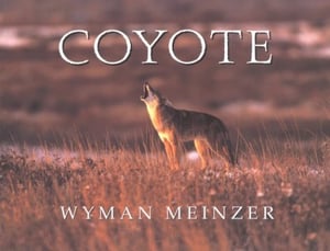 Image of Coyote (softcover)
