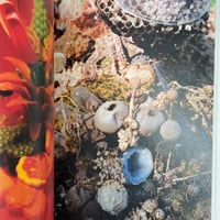 Image 22 of NOG A DOD by Marc Bell, Peter Thompson, Jason McLean, Amy Lockhart & more!