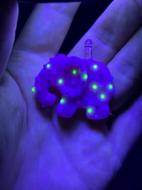 Image 2 of Pink frosted cookie 