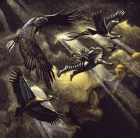 Image 1 of SANGRE DE MUÉRDAGO – O Vento que Lambe As Miñas Feridas | VINYL LP (Throne exclusive ltd. 150)