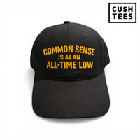 Common sense is at an all time low (Dad Hat)