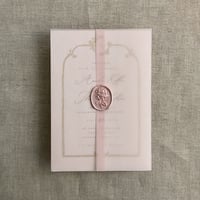 Image 14 of Blank Colored translucent vellum wraps for 5x7 cards - Pack of 10 -