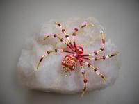 Image 5 of Red and Gold Beaded Christmas Spider