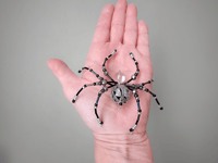 Image 2 of Beaded Spider Ornament