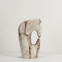 Image 1 of oko riverbed