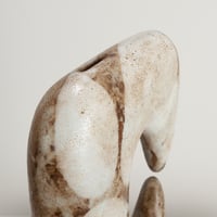 Image 5 of oko riverbed