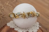 Newborn/Sitter Halo 289