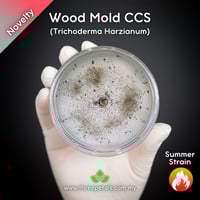 Image 1 of Wood Mold CCS (Trichoderma Harzianum) Live Mycelium Mushroom Culture Spawn Seed