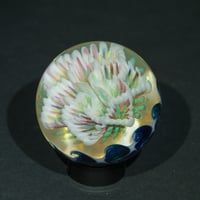 Image 2 of Windflower