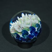 Image 3 of Windflower