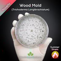 Image 1 of Wood Mold (Trichoderma Longibrachiatum) Live Mycelium Mushroom Culture Spawn Seed