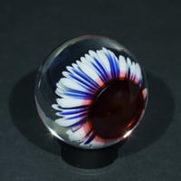 Image 5 of Royal Petals