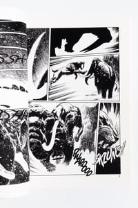 Image 7 of Saber Tiger by Yukinobu Hoshino